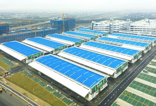 倒计时！南环桥新市场家禽购销区准备就绪，即将开启全新篇章