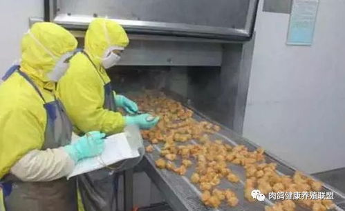 活禽交易市场关闭与家禽养殖规模化 家禽购销的转型之路